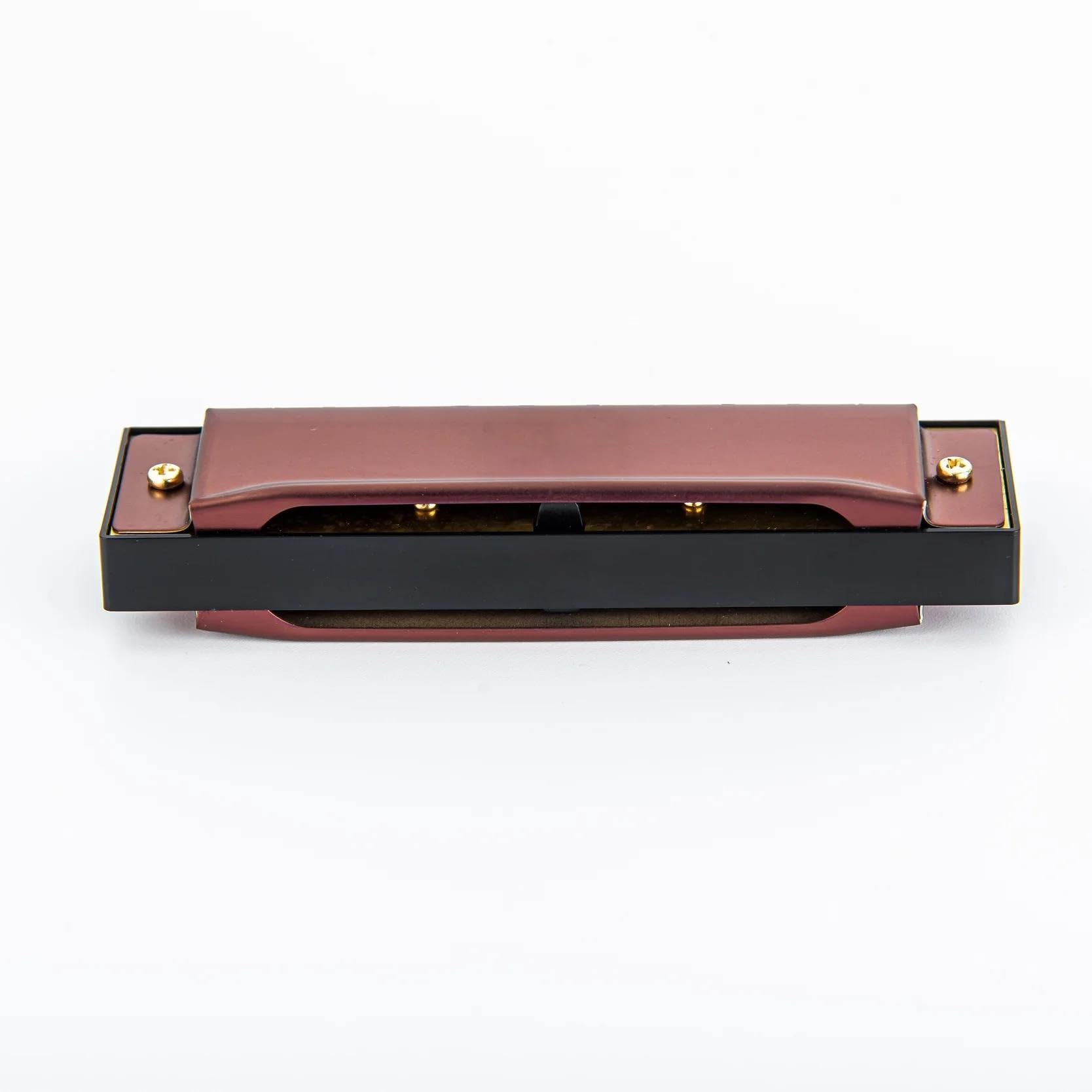 Armoniche a bocca 10 Buche 20 Tono Diatonic Amoncia In Acciaio Inossidabile Copri Più Importanti C In Armonica Personalizzata Con Custodia(Red)