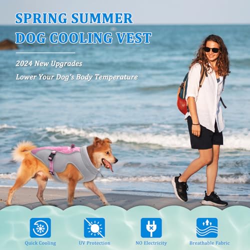 Sommer Hund Kühlweste Geschirr Atmungsaktive Mesh Hund Kühler Jacke Kühle Bequeme Hundemantel Einstellbar Mit Reflektierenden Streifen Für Kleine Mittlere Große Hunde Im Freien Laufen Wandern Klettern