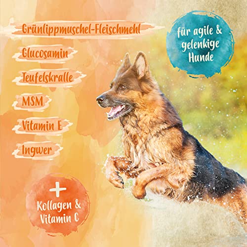 Ida Plus Gelenktabletten Plus - Gelenktabletten für Hunde - Mit Tierärzten entwickelt - Grünlippmuschel, MSM, Omega-3 & Teufelskralle unterstützen Hunde-Gelenke - Hohe Akzeptanz beim Hund - 120 Stück