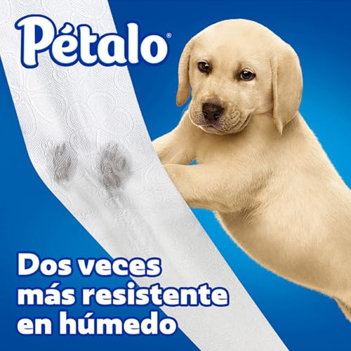 Productos De Papel Para El Hogar, Drugstore Imagen adicional