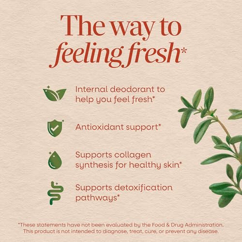 Nature's Way Chlorofresh Liquid Chlorophyll, Internal Deodorant, 16 fl oz - image 3