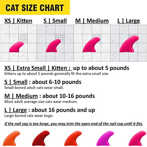 View 5