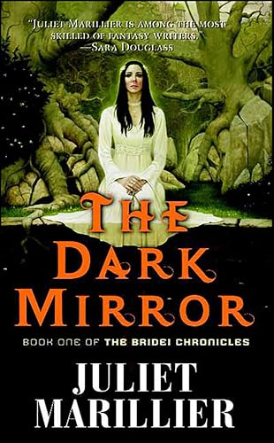 The Dark Mirror: Book One of the Bridei Chronicles