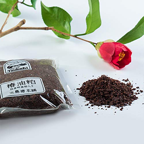 Amazon.co.jp: 椿油粕 一番搾め 五島椿本舗 家庭園芸用肥料 300g