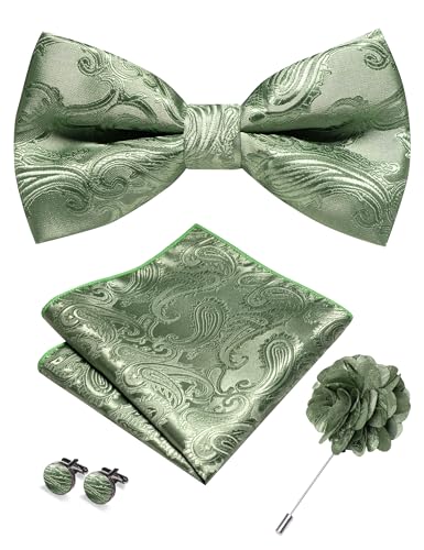 Image of RBOCOTT Paisley Bow Tie and Pocket Sqaure Set with Lapel Pin and Cufflinks for Men