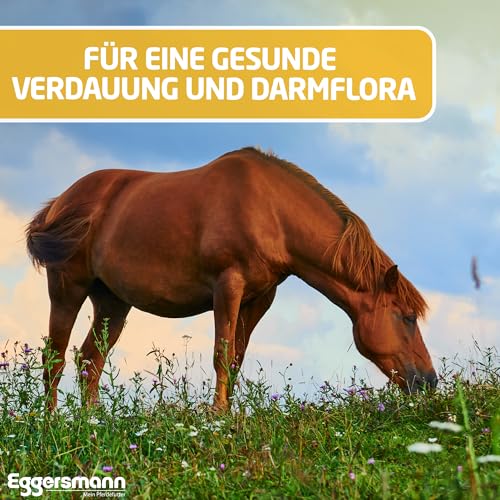Eggersmann Mein Pferdefutter EMH Mash 15 kg – Ergänzungsfuttermittel für Pferde & Ponys – Pferdefutter zur Unterstützung der Darmflora & Verdauung – Mit wertvollen Omega-3- & Omega-6-Fettsäuren