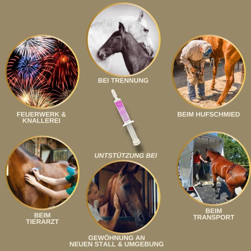 Magnesium Pferd hochdosiert Mag Paste 30ml Calm Relax Zusatzfutter mit L-Tryptophan Vitamin B12 – Anti Stress Beruhigung Pferd bei Angst Transport Silvester Stallwechsel Nerven Entspannung Horse Relax
