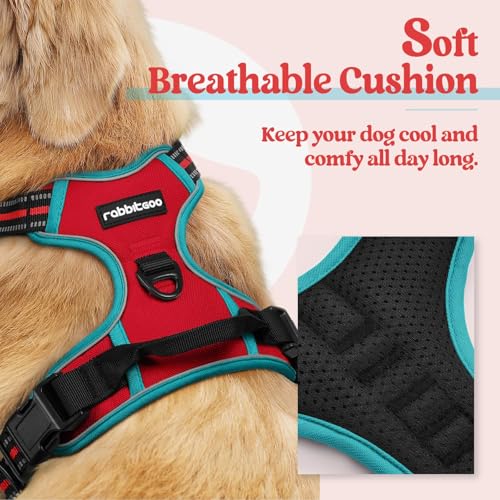 Image of rabbitgoo Dog Harness No Pull with 2 Leash Clips, Adjustable Soft Padded, Reflective Oxford No Choke Pet Vest with Easy Control Handle for Small Dogs, Red & Teal, S
