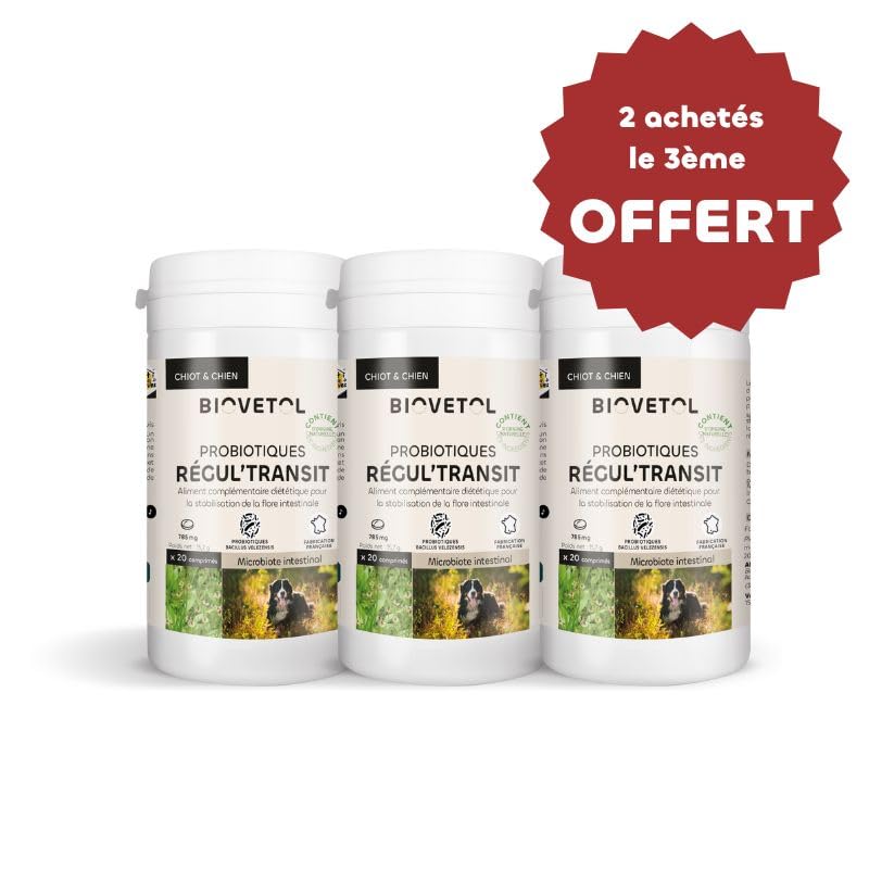 Biovetol - Probiótico - Comprimidos Regul'Transit - Complemento alimenticio especial de tránsito (perro, lote de 3)