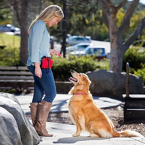 COMPANY OF ANIMALS Whizzclick, 2-in-1 kombinierter Clicker und Pfeife, Hundetrainingspfeife für Rückruf- und Clickertraining zur Belohnung, verstellbares und reflektierendes Trageband, für alle Hunde