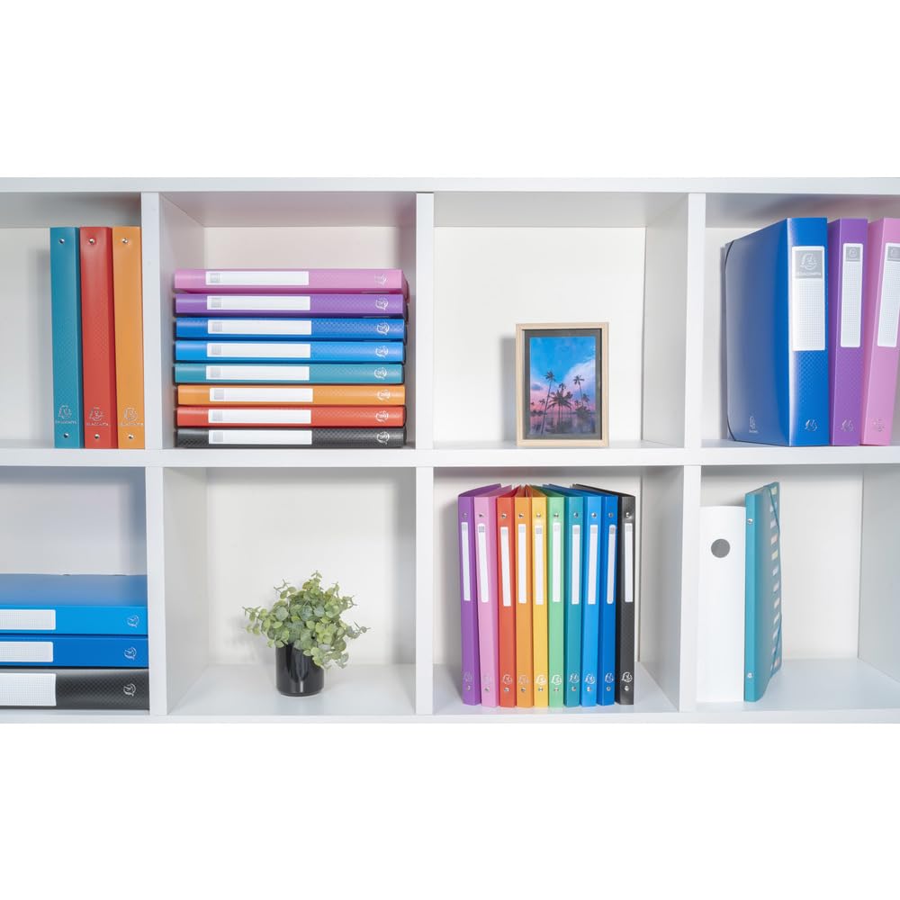 Exacompta - réf. 512801E - Carton de 20 classeurs semi-rigides OPAK – 4 anneaux ronds 30 mm – Dos 40 mm – Dimensions extérieures : 32 x 26,8 cm - Format à classer A4 Maxi – Coloris : noir