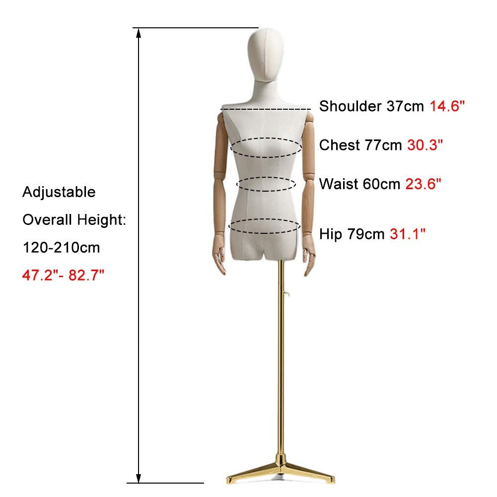 Amazon.co.jp: 女性マネキン トルソー マネキン ドレスフォーム 高さ