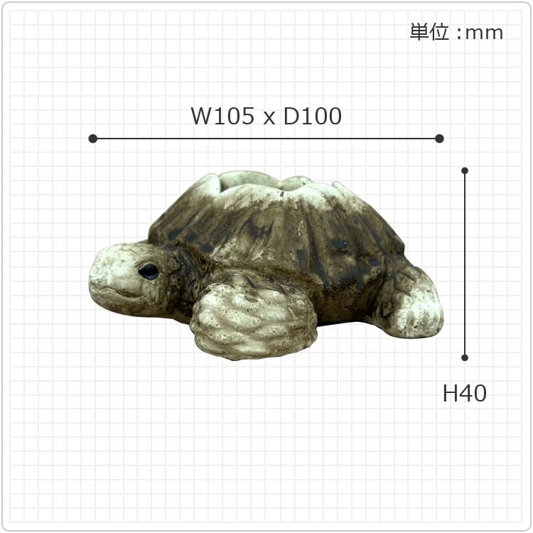 Amazon.co.jp: 植木鉢 タートルポット 亀 カメ セメント 鉢底穴有り (S