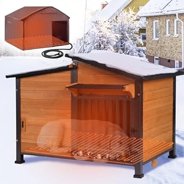 best heated dog house