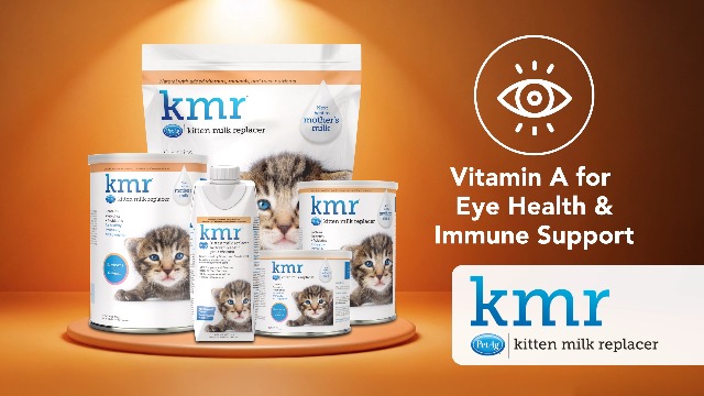 Amazon.com: Pet-Ag KMR Kitten Milk Replacer Powder - 12 oz, Pack