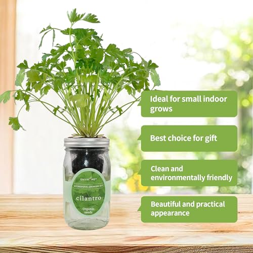 Environet Hydroponic Herb Growing Kit, Self-Watering Mason Jar Window Herb Garden Starter Kit Indoor, Grow Your Own Herbs from Organic Seeds (Cilantro) - Thumbnail 5
