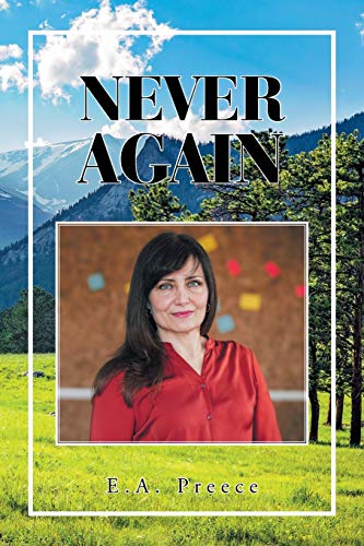 Never Again view 2