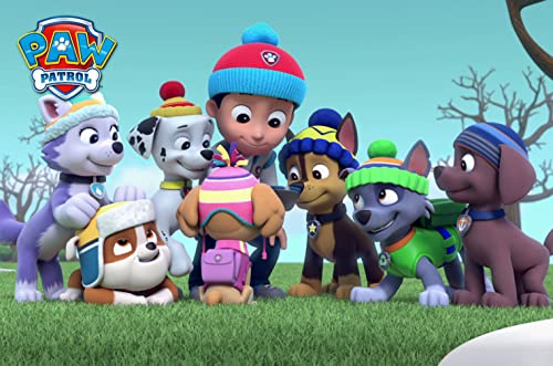Paw Patrol & Paw Patrol - Einsatz im Schnee