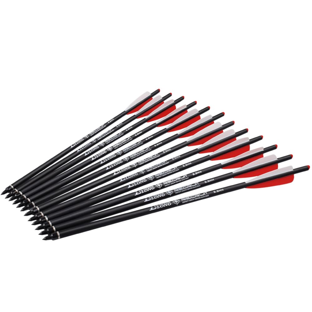 Lot de 12 vis d'arbalète en carbone 45,4 cm, 16, 18, 20, 55,6 cm, pour la chasse, le tir à l'arc avec vis à ailettes de rechange, pointe de flèche