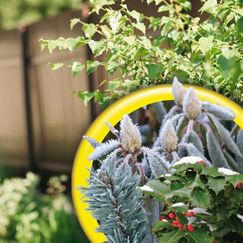 Bonide Wilt Stop, 32 oz Concentrated Anti-Transpirant Plant Protector - image 8