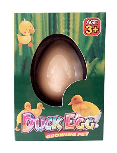 Inception Pro Infinite Uovo Magico - Duck - Papera...