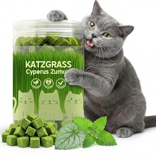 Prettypum Cat Grass Treats for Indoor Cats - Freeze Dried Cat Grass Crunchy Snacks for Hairball Control and Digestive Support - Natural Kitty Grass Supplement - 4.23 oz