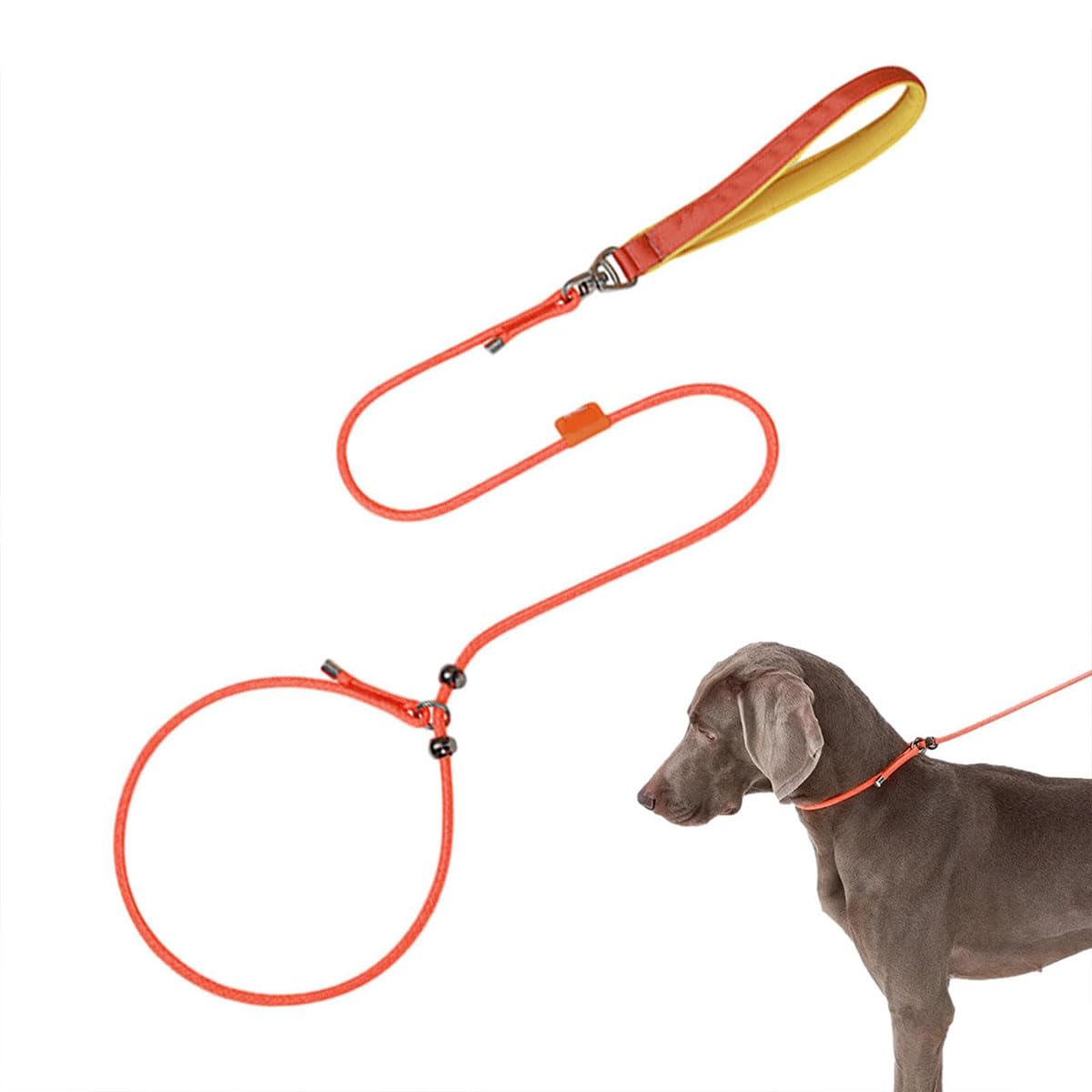 Amazon | 犬 リード ナイロンロープ 1.5M トレーニング用 犬用スリップ