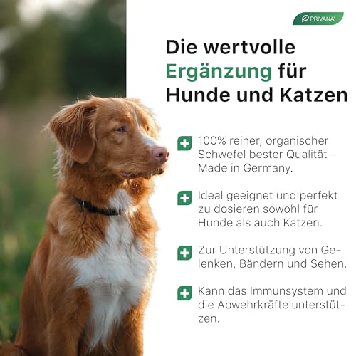 Privana Reines MSM-Pulver für Hunde, Katzen & Pferde (500g) –organisches Schwefel-Pulver für Gelenke, Knochen, Sehnen–Ergänzungsfuttermittel für Tiere