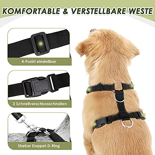 Eyein Hundegeschirr mit Sicherheitsgurt für Auto, 2 Karabinerhaken - verbunden mit Sicherheitsgurt-Schnalle, Kinder-Sicherheitssitz oder Trunk, verstellbare atmungsaktiv Geschirr (Grau, S)