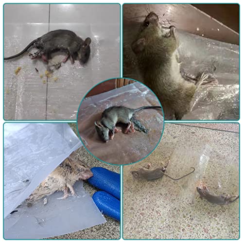 Sticky Mouse Traps Extra Large,Clear Mouse Glue Trap Sticky Traps That Work For Mice And Rats Roaches,47.2X11Inch Heavy Duty Rat Traps Indoor Mouse Sticky Pads With A Peanut Butter Scent(5 Pack) #TOP6