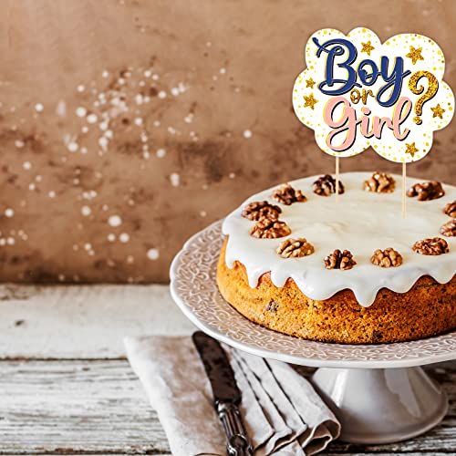 Boy Or Girl Cake Topper Navy And Blush Gender Reveal Cake Topper He Or She Cake Topper Boy Or Girl Sign Baby Shower Party Decorations #TOP3