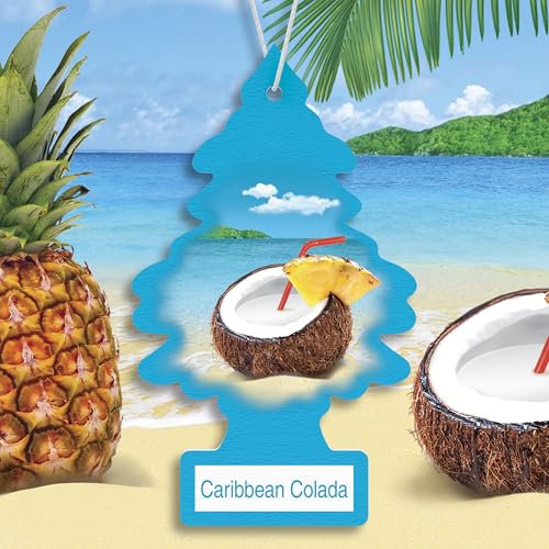 Image of Little Trees Caribbean Colada Air Freshener, (Pack of 24)
