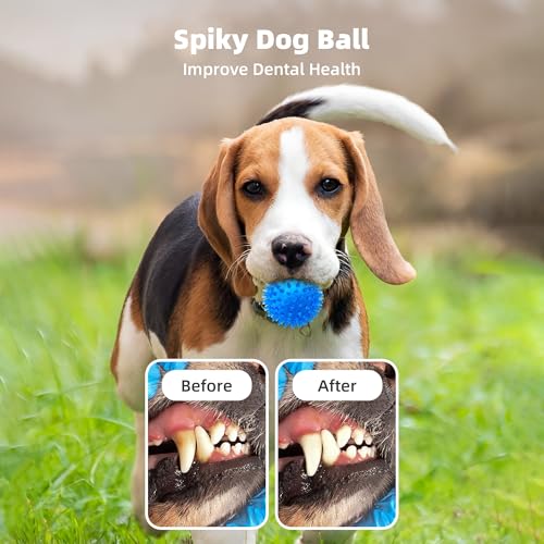 Squeaky Balls for Small and Medium Dogs: 8 Pack
