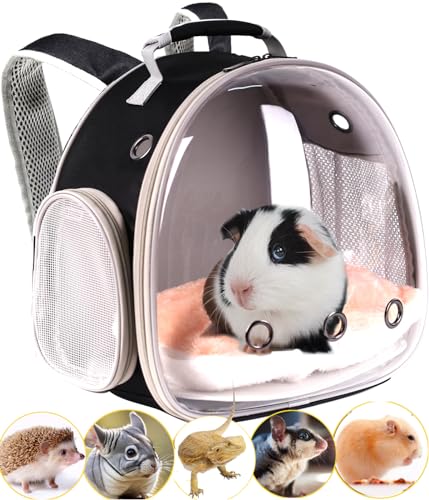 Mochila de viaje para dragón barbudo con ventana de burbuja transparente 2