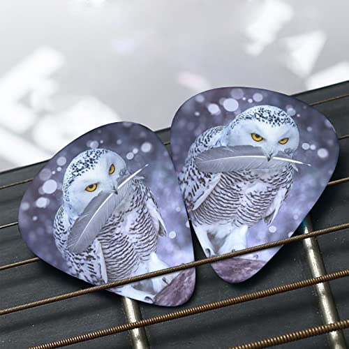 Ensemble de 12 médiators de guitare Arctic Owl pour guitare acoustique, guitare électrique, contrebasse, ukulélé - Les Beatles, Paul McCartney, John Lennon, RIngo Starr, George Harrison Ensemble de 12 médiators de guitare Arctic Owl pour guitare acoustique, guitare électrique, contrebasse, ukulélé – Image 8