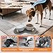 Hundenapf Keramik 850ml Doppel Futternapf Hund mit Bambus Ständer und Rutschfestem Matte, Hundenapf Set Erhöht Hunde Napfset, Erhöhte Futterstation Hund 2er Set für Katzen Kleine Mittelgroße Hunde