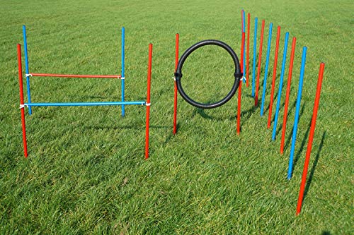 Wuzzmann Agility-ÜBUNGS-ANFÄNGER-Set MIT SPRUNGRING/Slalom/HÜRDEN IN ROT/BLAU Cover