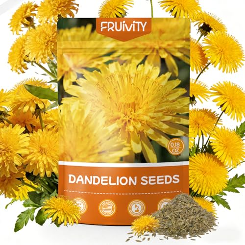 Fruivity Dandelion Seeds (0.18oz - 5000+ Seeds) - Heirloom Taraxacum officinale - Edible Herb for Planting - Medicinal Roots Leaves & Flowers - Pollinator-Friendly Perennial for Garden
