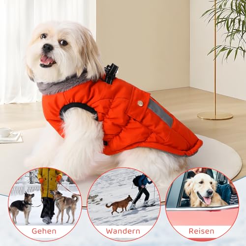 Savlot Hundejacke mit Kabelbaum wasserem Hund Wintermantel für kleine mittelgroße Hunde Hundemantel für Labrador Chihuahua Französische Bulldogge Hundejacke mit reflektierender Tasche M