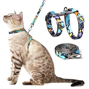 Cat Harness and Leash Set – Escape Proof Vest Harness for Cat, Comfortable Soft Lightweight, Easy Adjustable Cat Collar Harness for Small Medium Large Cats (Butterfly Magic)