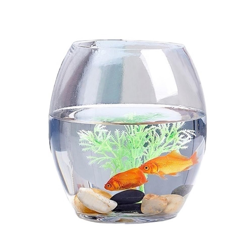 Acquario Acquario piccolo in vetro trasparente spesso ovale for ufficio domestico, scrivania multiuso(M)