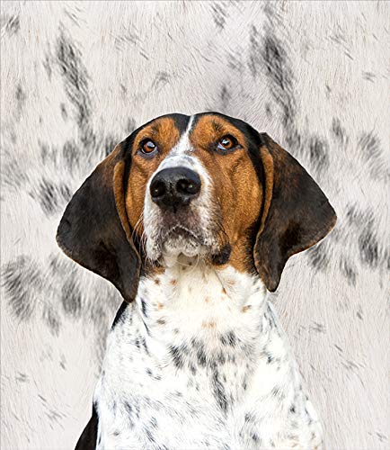 BlessLiving-Cute-Dog-Throw-Blanket-Sherpa-Fleece-Blanket-3D-Animal-Print-Reversible-Blankets-for-Bed-and-Couch-CoonhoundTwin-60-x-80-Inches - Cucciolini Doodles   BlessLiving-Cute-Dog-Throw-Blanket-Sherpa-Fleece-Blanket-3D-Animal-Print-Reversible-Blankets-for-Bed-and-Couch-CoonhoundTwin-60-x-80-Inches