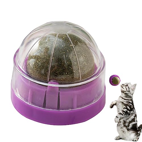 Tumotsit Wand Katzenminze, essbares Bio-Spielzeug für Kätzchen, Kauspielzeug mit Kugel, Katzenminze, Wand, Leckbälle für Katzenminze