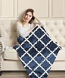 MIZZEO Electric Heated Blanket 84' x 90' Queen Size Fast Heating Blankets 100% Polyester Velvet 10 Heating Levels 1-12 Hours Auto-Off ETL Certified Machine Washable (Navy)