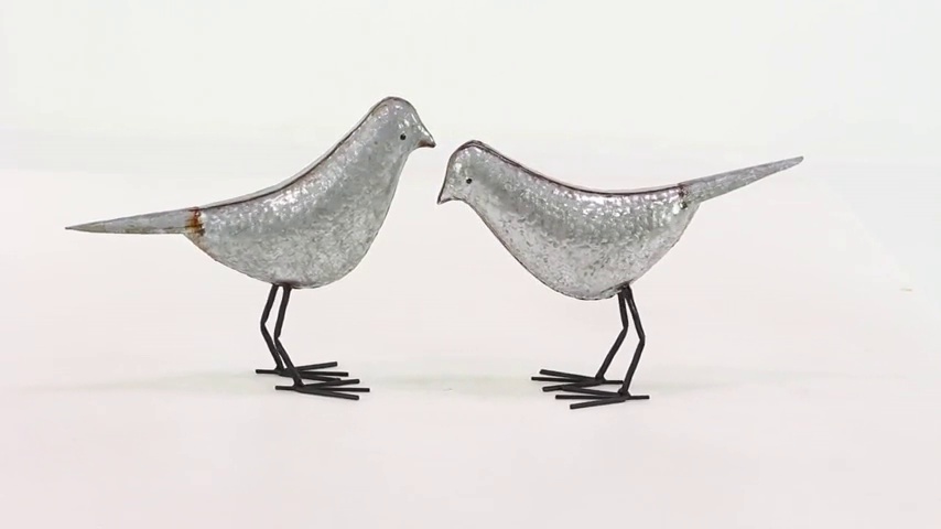 bird ⑨⑨ 1999 Kawasaki ZX-7R Muzzy 9R Raptor For Sale At Auction