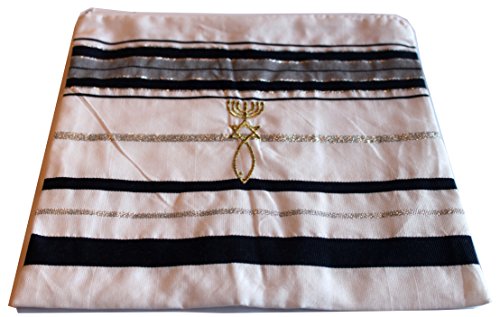 Holy Land Market Messianic Tallit Bag - Acrylic Prayer Shawl Holder, Dark Blue with Gold Lines, 11x11 in, Padded