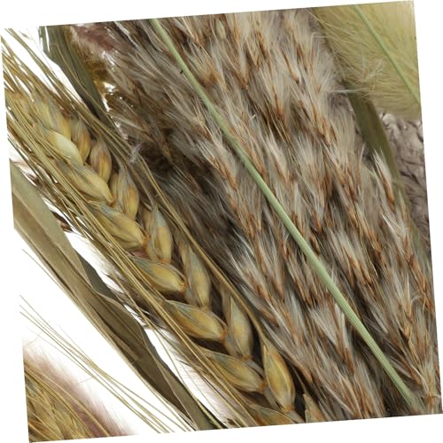 Ramo de Hierba Pampas Secas con Broomcorn y Caña Decoración miniatura 7