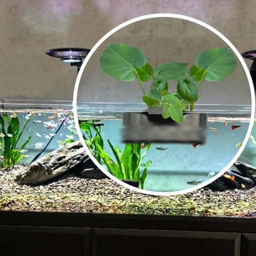 Image of Aquarium Plant Holder,Fish Tank Plant Holder,Aquarium lid Clips,Aquarium Plant Pot,Hydroponic Fish Tank Planter, Aquatic Plant Cup for Aquascape Decorations (Black, 2PCS Rimmed+Rimless)