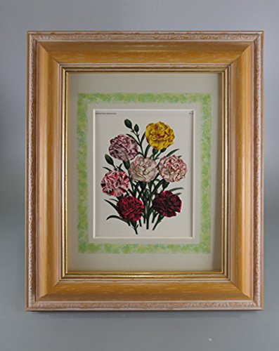 【絵画作品】カーネーション【額付き】 花の水彩画(カーネーションベース)／額付き原画 絵画 サクラビト