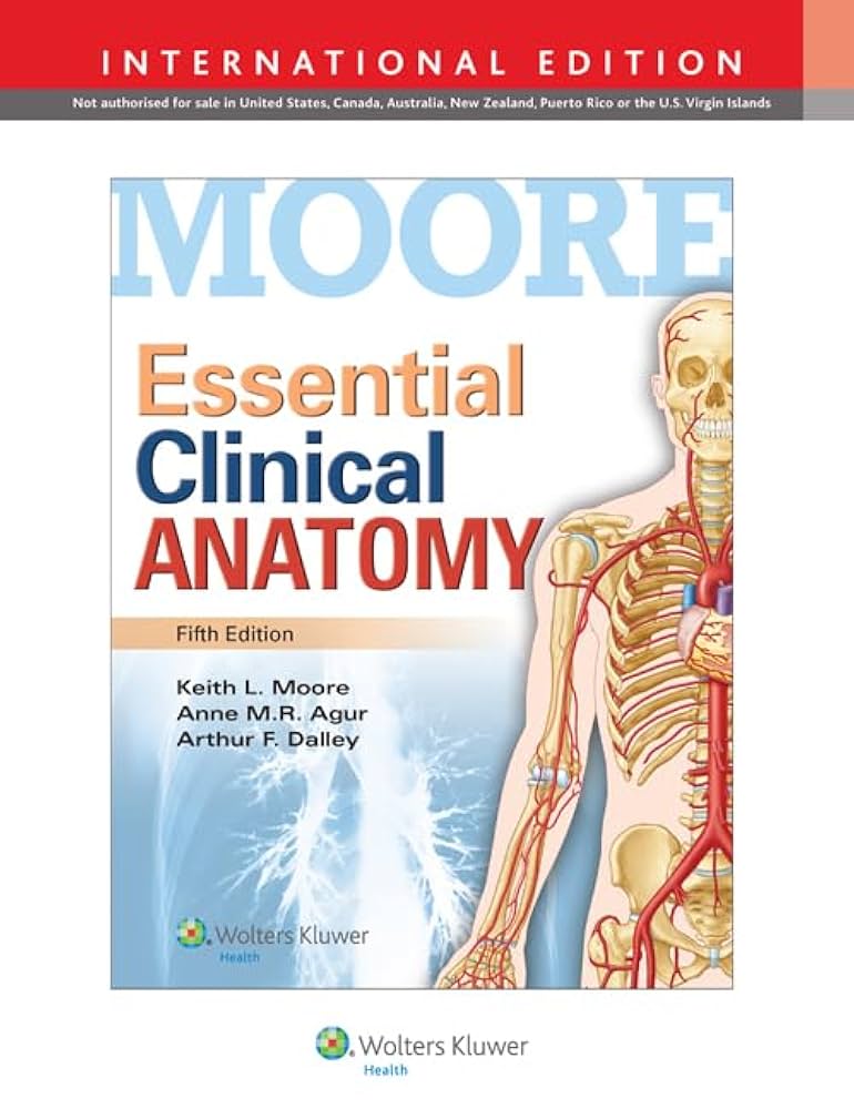 【未開封】Moore's Essential Clinical Anatomy Essential Clinical Anatomy: 9781469832012: Medicine & Health